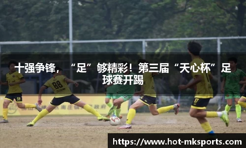 mk体育APP